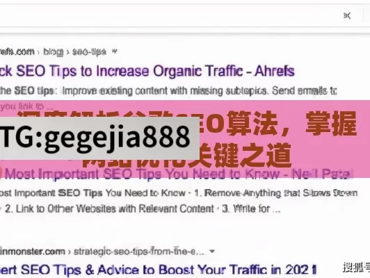 深度解析谷歌SEO算法，掌握网站优化关键之道