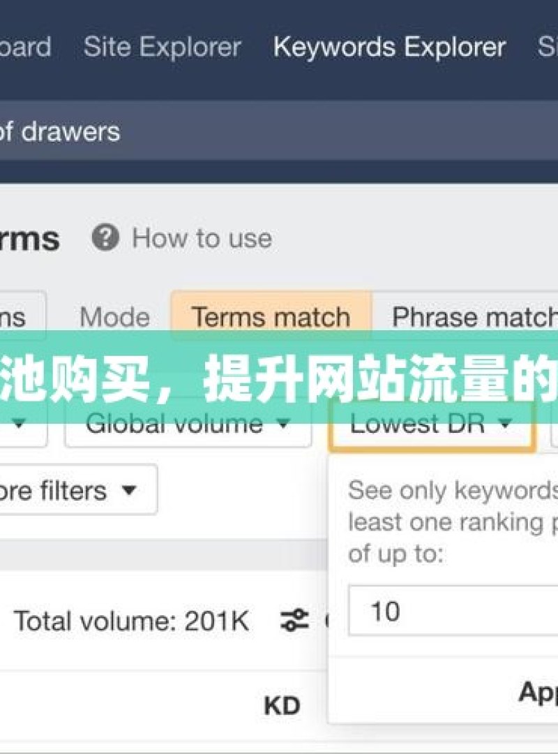 谷歌蜘蛛池购买，提升网站流量的秘密武器 - 