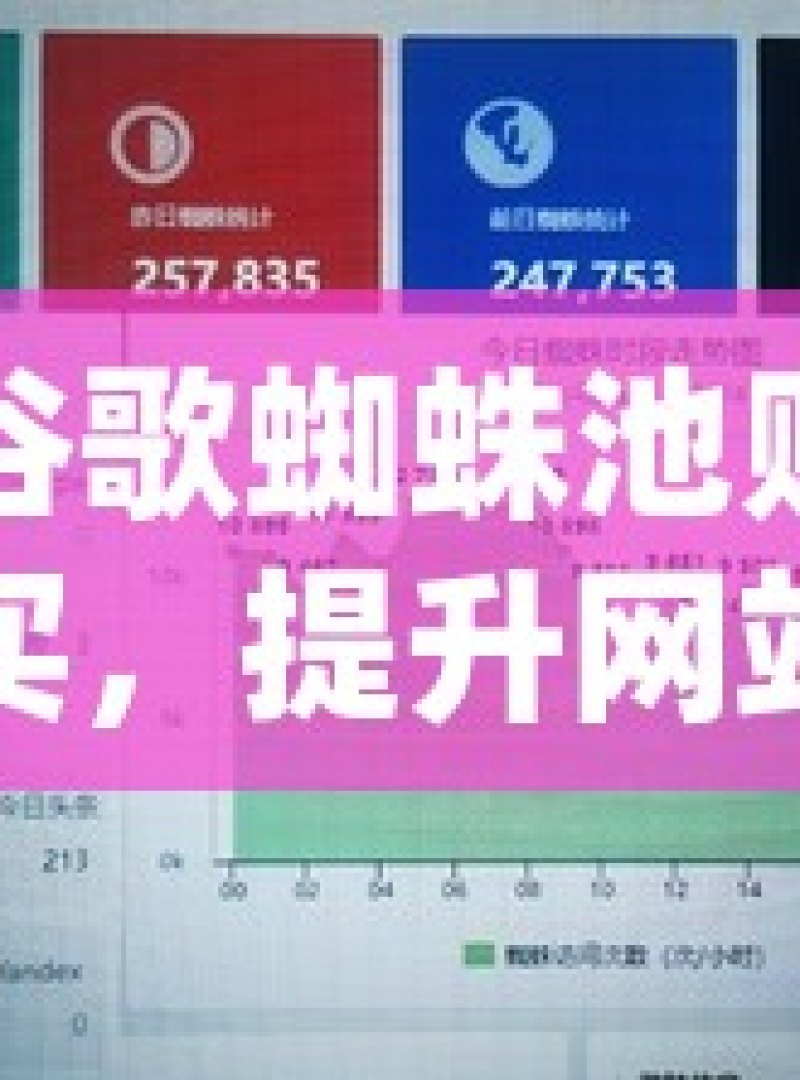 谷歌蜘蛛池购买，提升网站流量的秘密武器 - 
