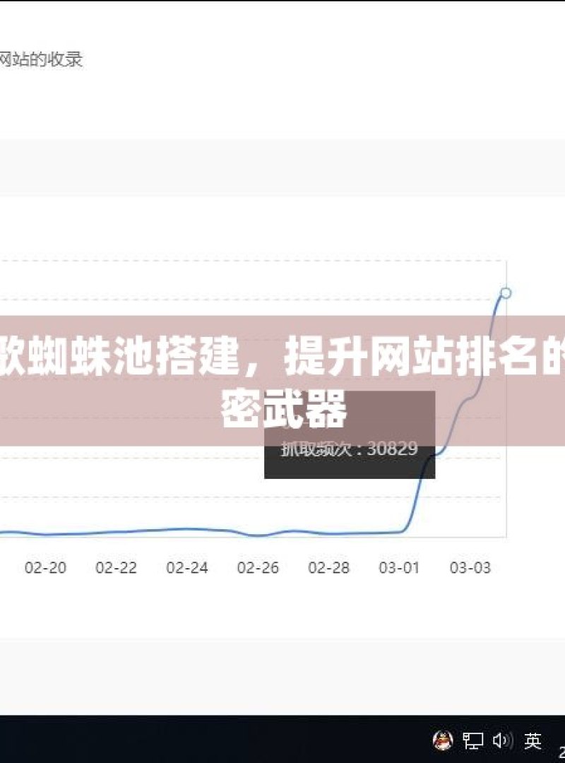 谷歌蜘蛛池搭建，提升网站排名的秘密武器 - 