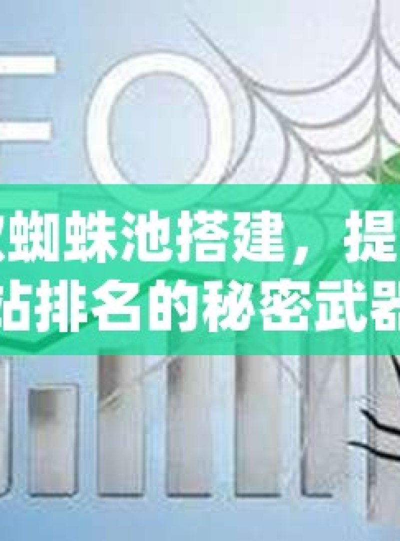谷歌蜘蛛池搭建，提升网站排名的秘密武器 - 