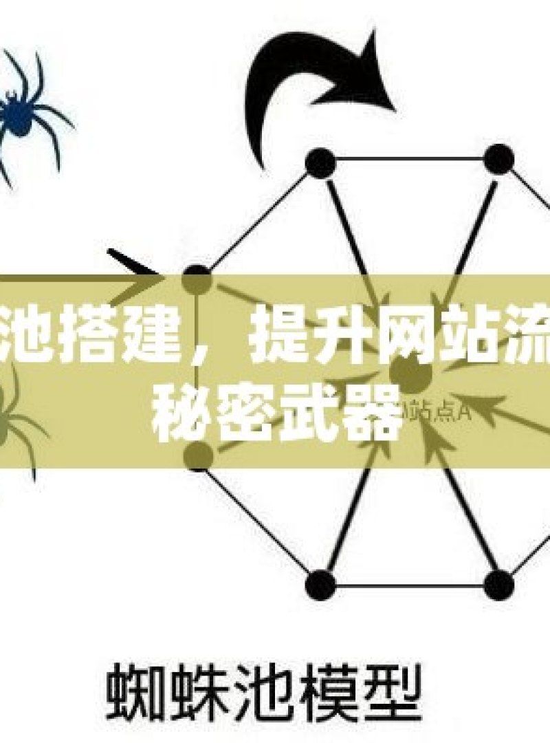 蜘蛛池搭建，提升网站流量的秘密武器 - 
