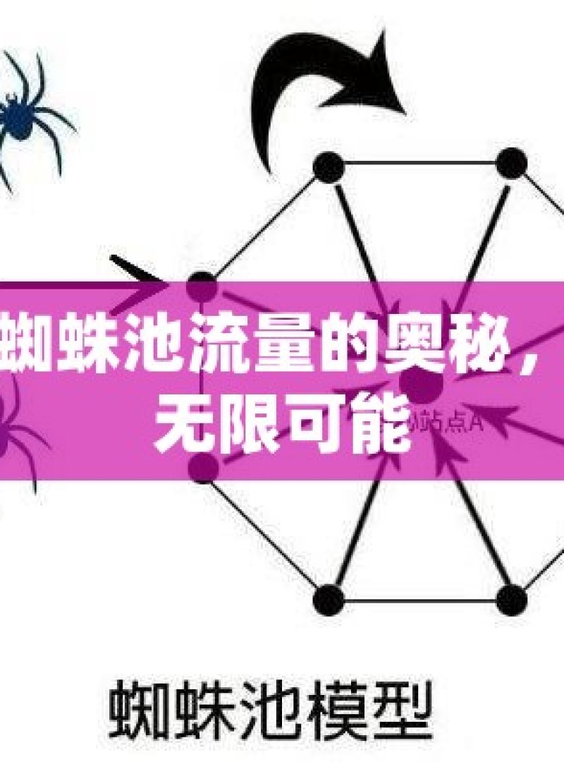 探索蜘蛛池流量的奥秘，开启无限可能 - 