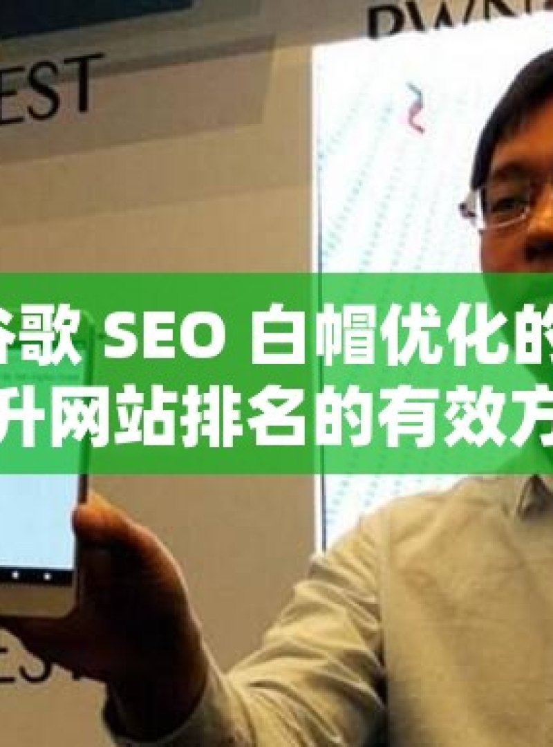 探索谷歌 SEO 白帽优化的奥秘，提升网站排名的有效方法 - 