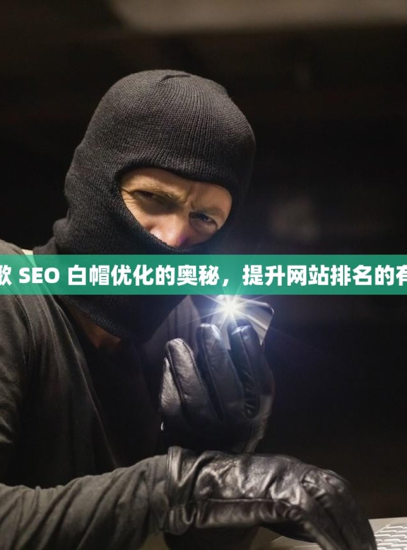 探索谷歌 SEO 白帽优化的奥秘，提升网站排名的有效方法 - 