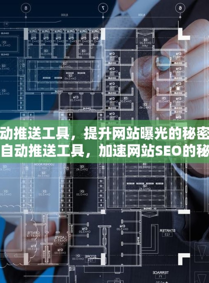 谷歌蜘蛛池自动推送工具，提升网站曝光的秘密武器探索谷歌蜘蛛池自动推送工具，加速网站SEO的秘密武器 - 