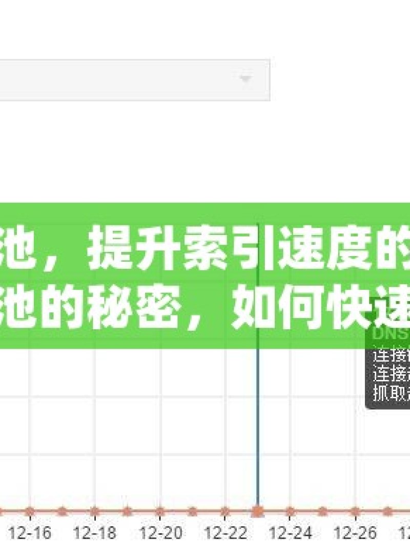 谷歌蜘蛛池，提升索引速度的秘密武器谷歌蜘蛛池的秘密，如何快速提高网站索引速度？ - 