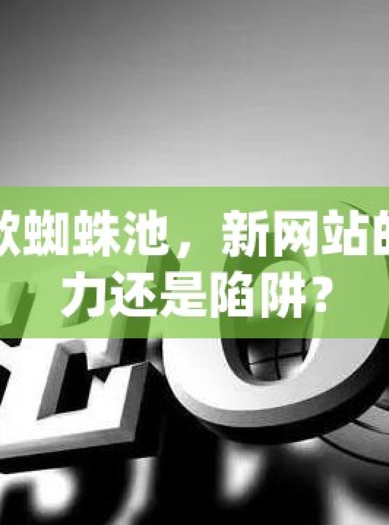 谷歌蜘蛛池，新网站的助力还是陷阱？ - 