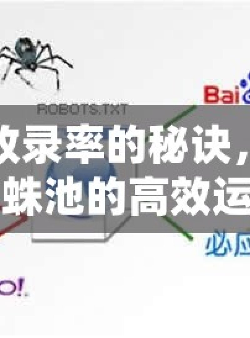提升收录率的秘诀，谷歌蜘蛛池的高效运用