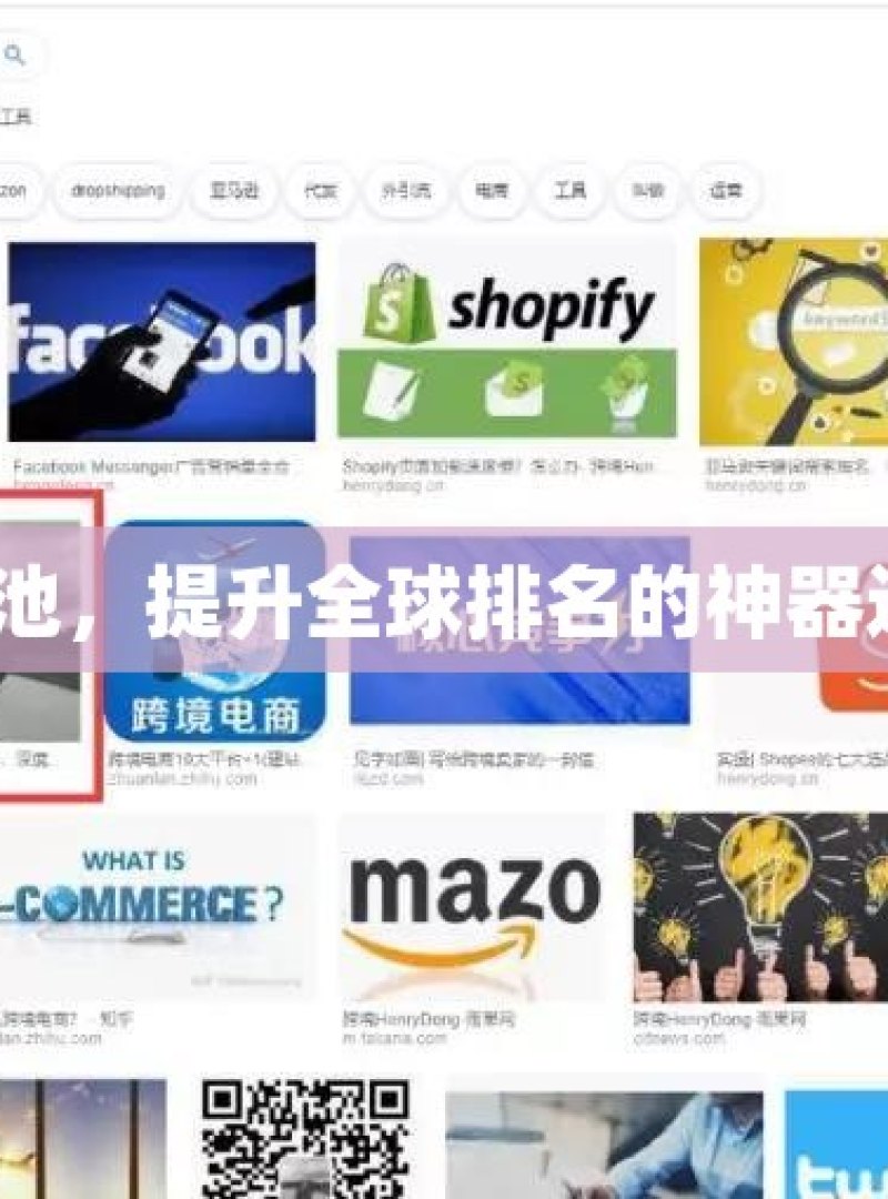 谷歌蜘蛛池，提升全球排名的神器还是陷阱？