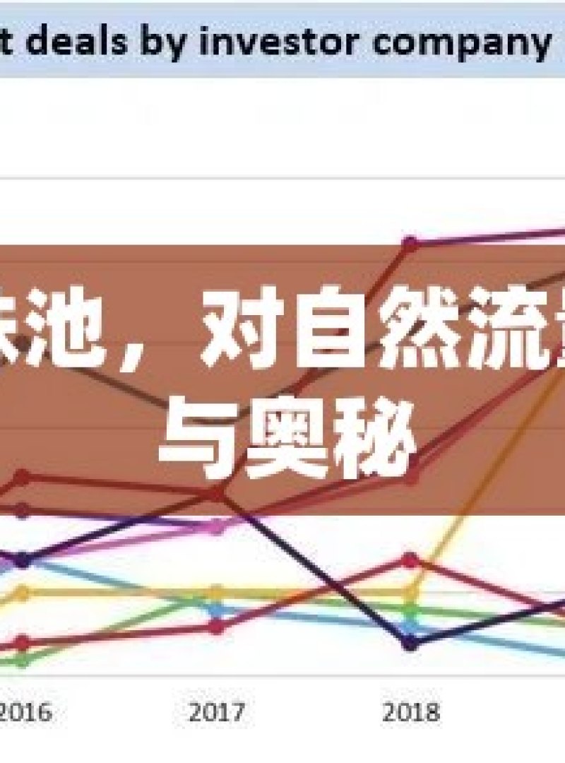 探索谷歌蜘蛛池，对自然流量增长的影响与奥秘