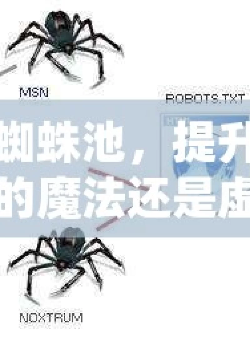 谷歌蜘蛛池，提升全球排名的魔法还是虚幻泡影？揭秘谷歌蜘蛛池，真的能提升全球排名吗？
