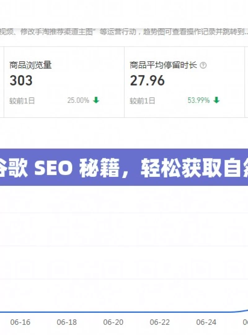 掌握谷歌 SEO 秘籍，轻松获取自然流量