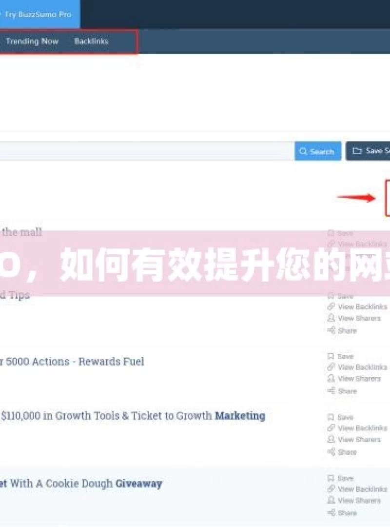 揭秘谷歌SEO，如何有效提升您的网站自然流量？