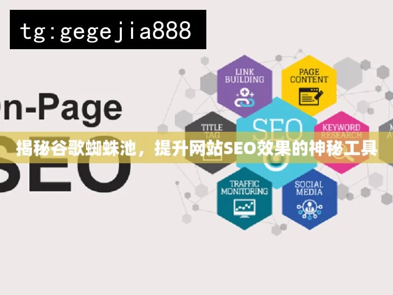 揭秘谷歌蜘蛛池，提升网站SEO效果的神秘工具