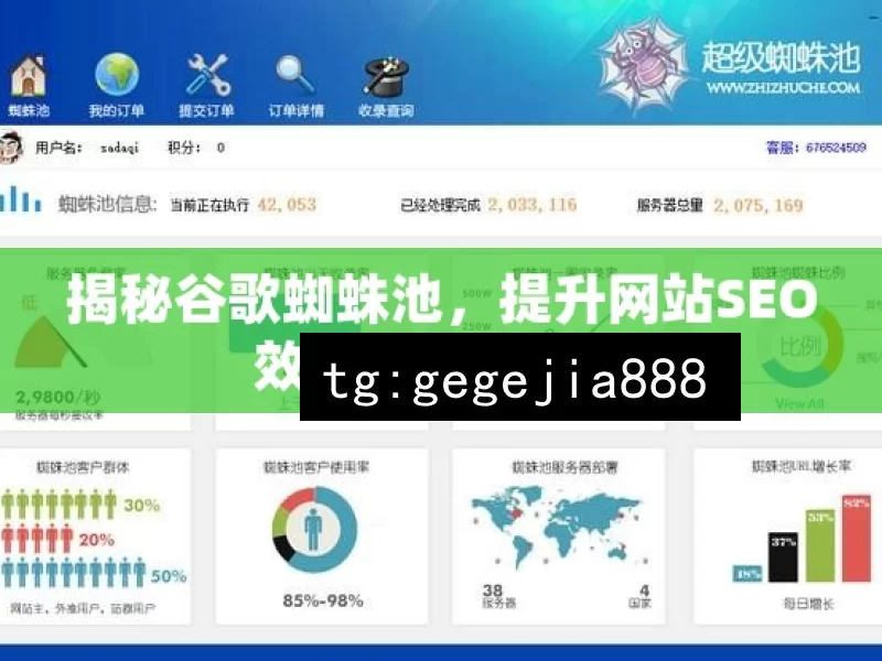 揭秘谷歌蜘蛛池，提升网站SEO效果的神秘工具