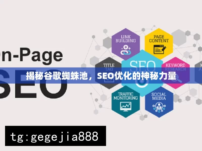 揭秘谷歌蜘蛛池，SEO优化的神秘力量