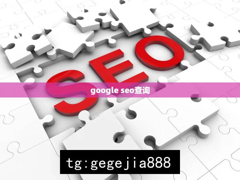 google seo查询