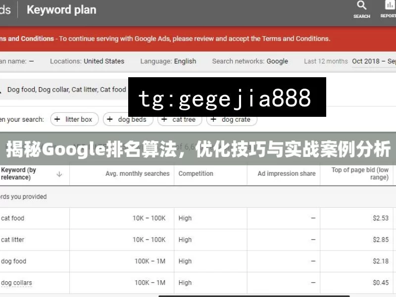 揭秘Google排名算法，优化技巧与实战案例分析