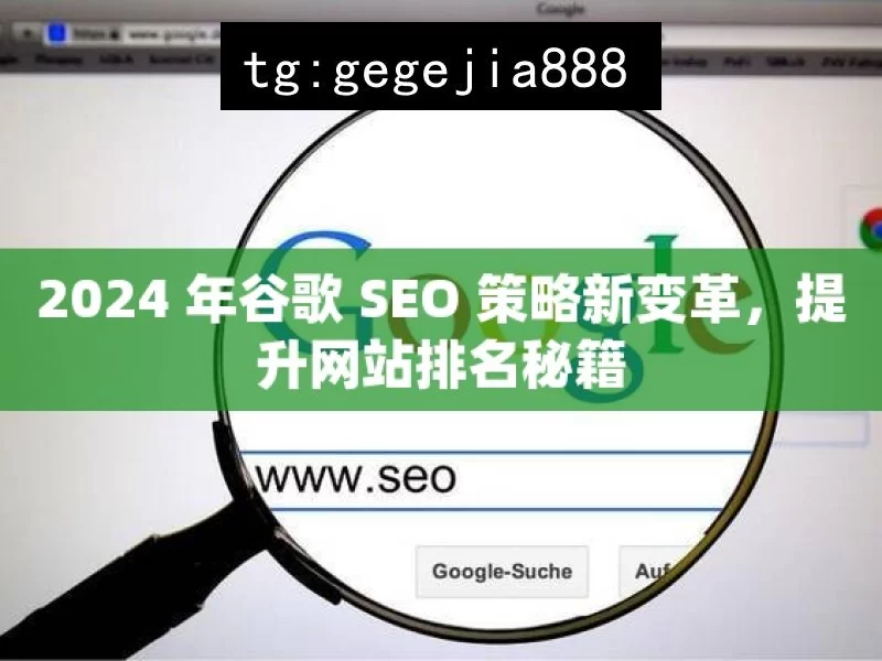 2024 年谷歌 SEO 策略新变革，提升网站排名秘籍