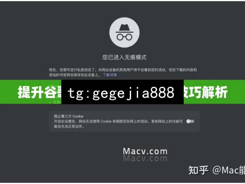 提升谷歌排名的实用策略与技巧解析