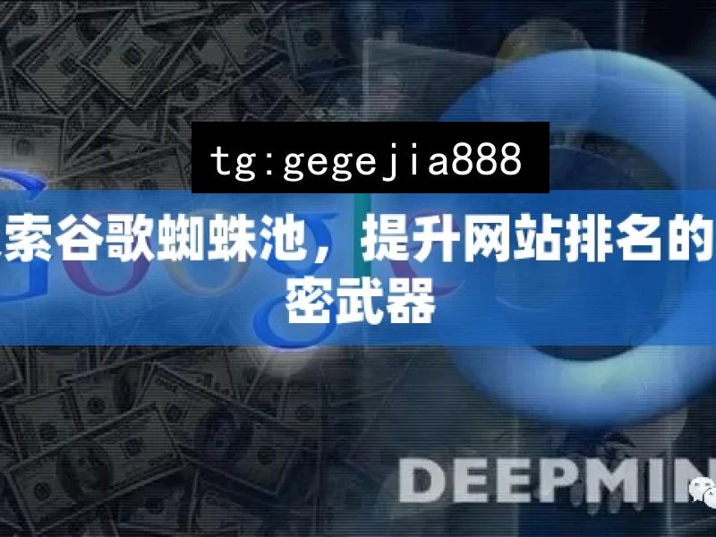 探索谷歌蜘蛛池，提升网站排名的秘密武器