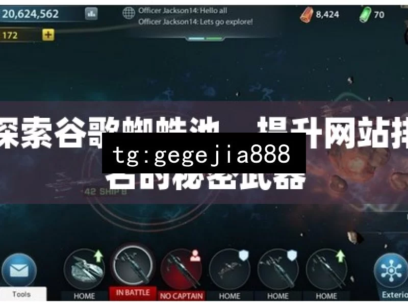 探索谷歌蜘蛛池，提升网站排名的秘密武器
