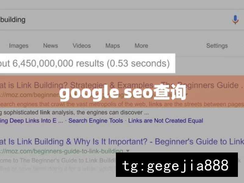 google seo查询