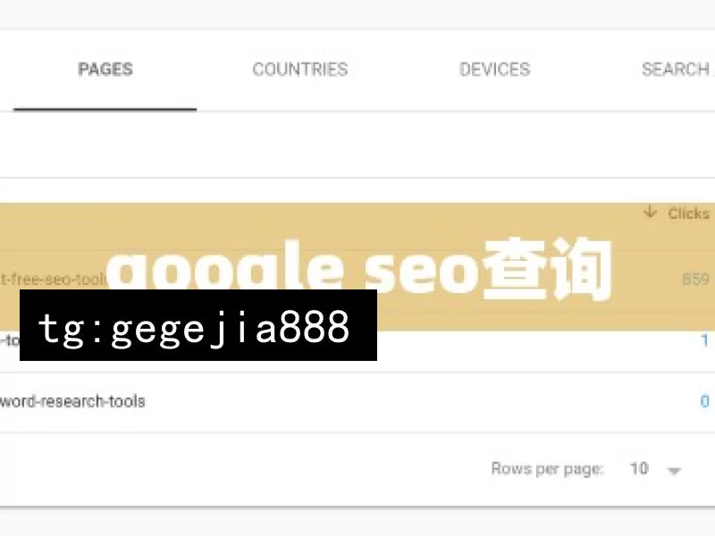 google seo查询
