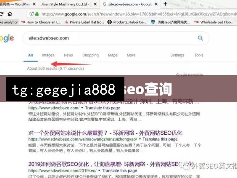 google seo查询