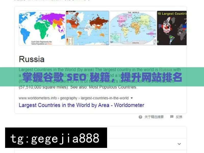 掌握谷歌 SEO 秘籍，提升网站排名