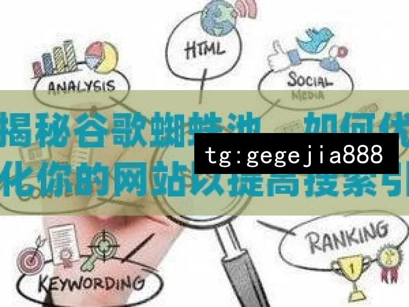 揭秘谷歌蜘蛛池，如何优化你的网站以提高搜索引擎排名？