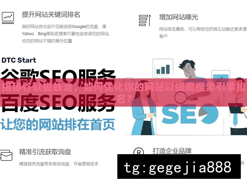 揭秘谷歌蜘蛛池，如何优化你的网站以提高搜索引擎排名？