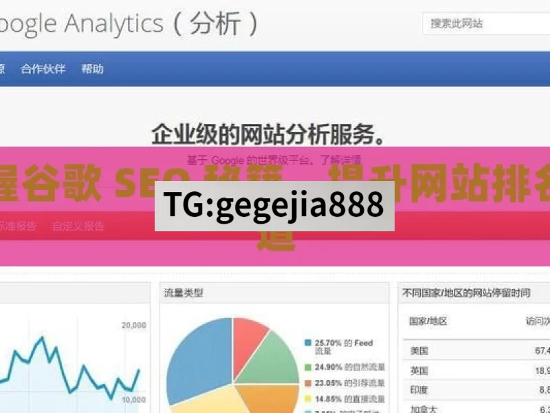 掌握谷歌 SEO 秘籍，提升网站排名之道