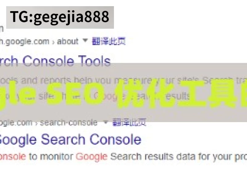 探索 Google SEO 优化工具的强大功能