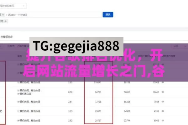 提升谷歌排名优化，开启网站流量增长之门,谷歌排名优化，揭秘提升网站影响力的艺术