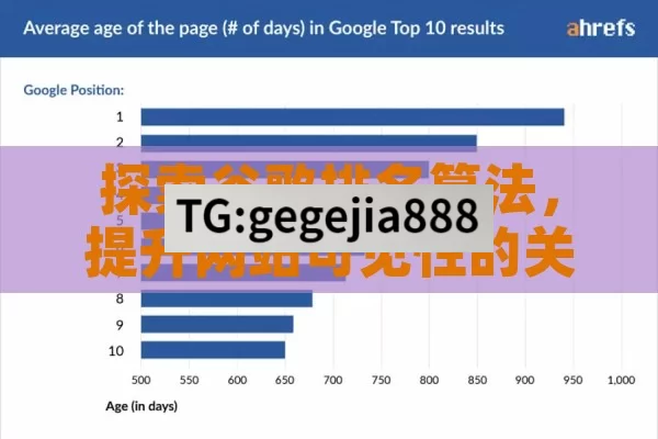 探索谷歌排名算法，提升网站可见性的关键,谷歌排名算法，揭秘网站成功的秘籍