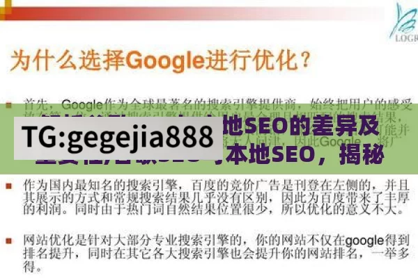 解析谷歌SEO与本地SEO的差异及重要性,谷歌SEO与本地SEO，揭秘全球与本土的搜索引擎优化之战