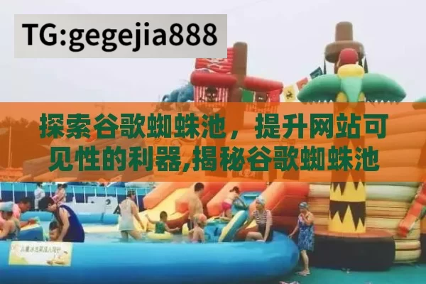 探索谷歌蜘蛛池，提升网站可见性的利器,揭秘谷歌蜘蛛池的秘密