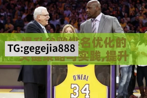 提升谷歌排名优化的关键策略与实践,提升网站曝光率，谷歌排名优化策略