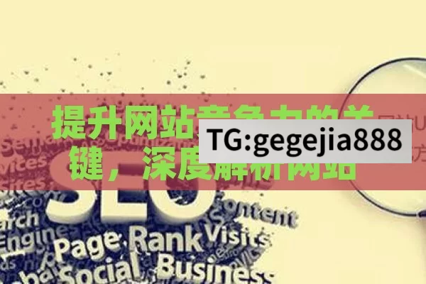 提升网站竞争力的关键，深度解析网站 SEO 优化,掌握网站SEO优化，提升在线可见性