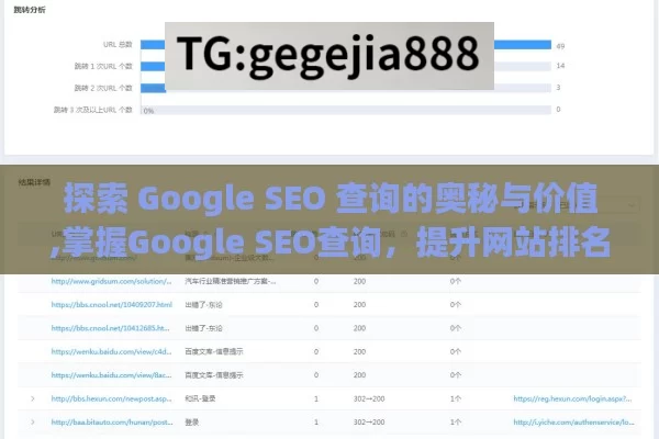 探索 Google SEO 查询的奥秘与价值,掌握Google SEO查询，提升网站排名