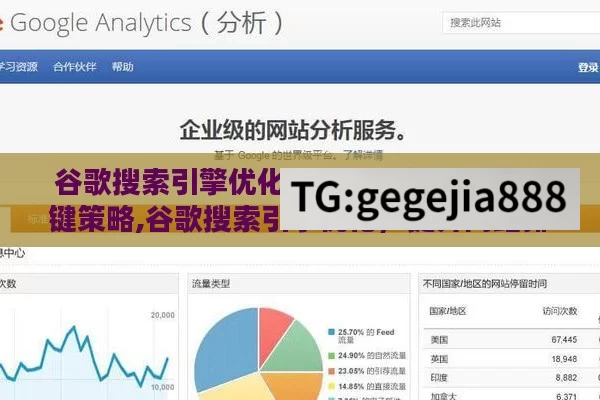谷歌搜索引擎优化，提升网站流量的关键策略,谷歌搜索引擎优化，提升网站排名的秘诀