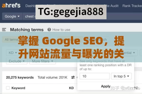 掌握 Google SEO，提升网站流量与曝光的关键,掌握Google SEO，提升网站排名