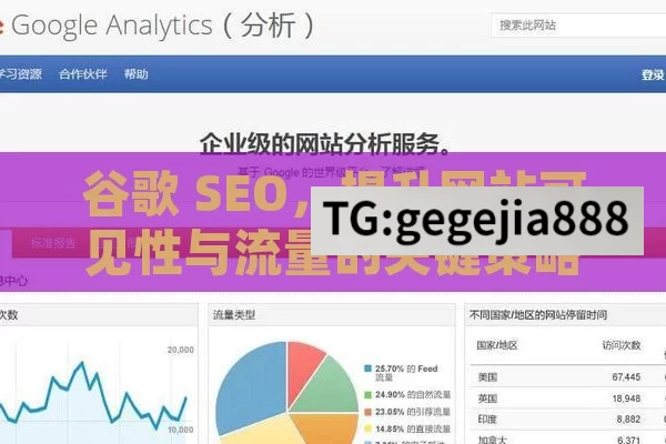 谷歌 SEO，提升网站可见性与流量的关键策略,谷歌SEO优化，提升网站排名的金钥匙