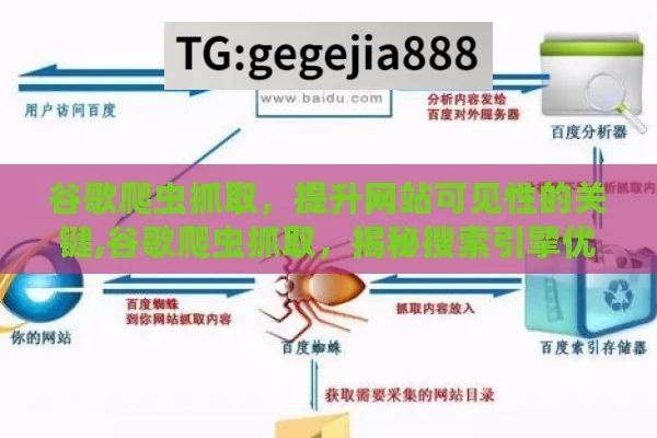 谷歌爬虫抓取，提升网站可见性的关键,谷歌爬虫抓取，揭秘搜索引擎优化的关键步骤