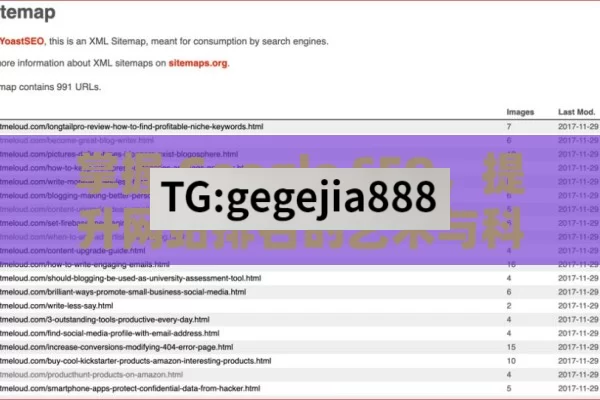 掌握 Google SEO，提升网站排名的艺术与科学秘籍