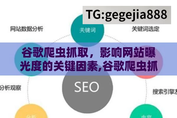 谷歌爬虫抓取，影响网站曝光度的关键因素,谷歌爬虫抓取，网站成功的隐形助推器