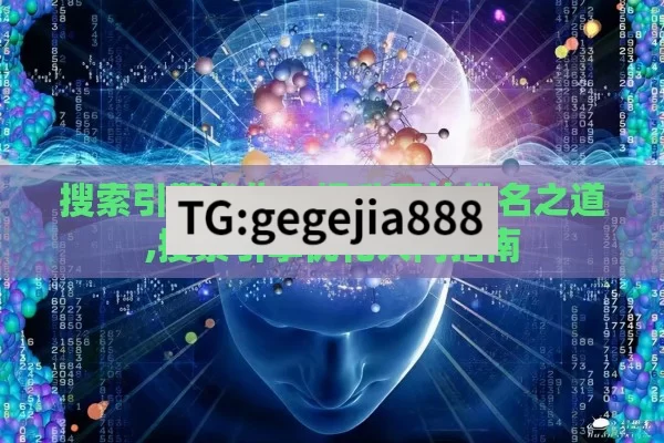 搜索引擎优化，提升网站排名之道,搜索引擎优化入门指南