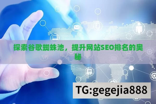 探索谷歌蜘蛛池，提升网站SEO排名的奥秘